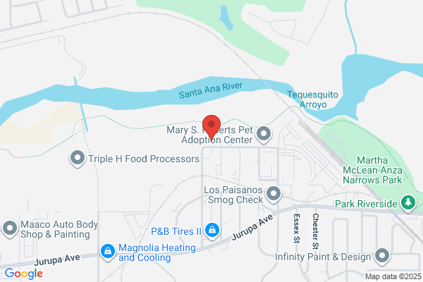 Inland Empire Autobody & Paint, Inc
