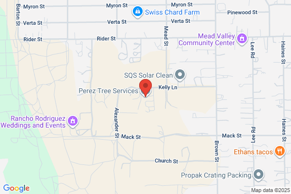 Perez Tree Service & Demolition Service
