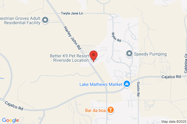 Better K9 Pet Resort - Riverside Location
