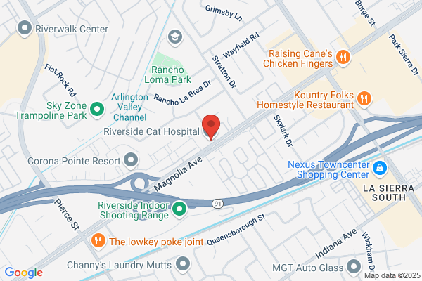 Troxel, Janet DVM-Riverside Cat Hospital