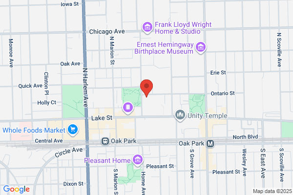 Oakpark Area Lesbian & Gay Association