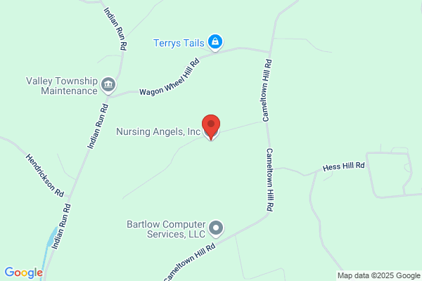 Nursing Angels Inc