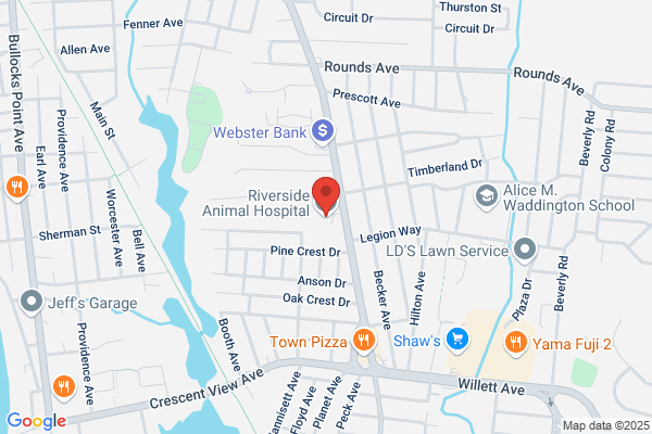 Riverside Animal Hospital