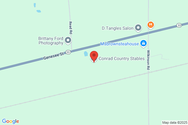 Diane Conrady Stables