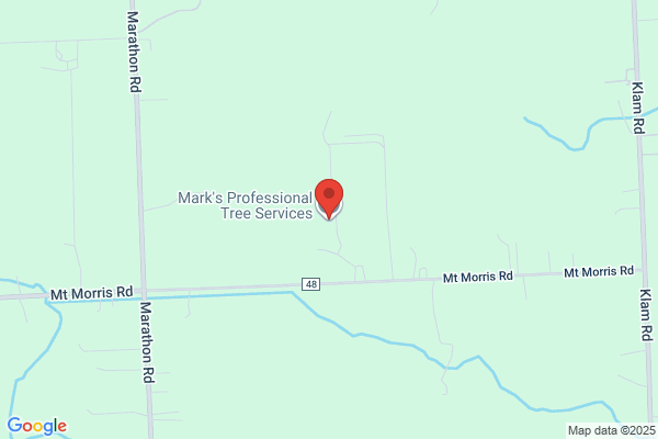 Lippincott Mark Tree Service