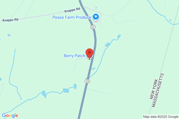 Berry Patch the