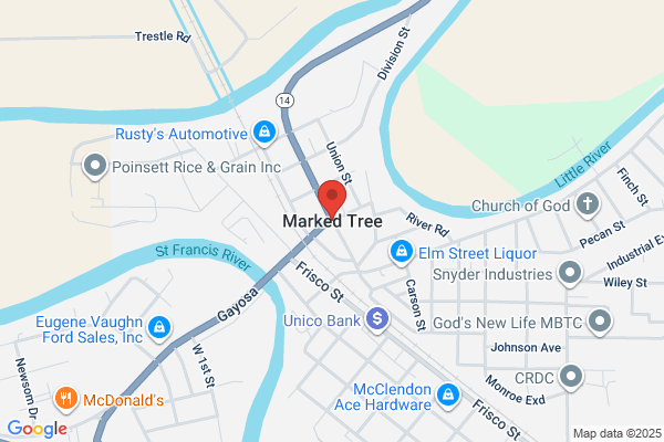 Marked Tree Jaxx