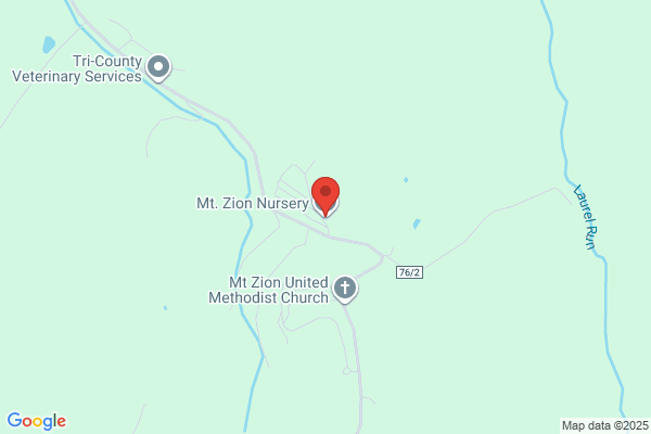 Mt Zion Nursery