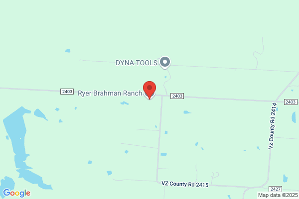 Hubert Brahman Ranch