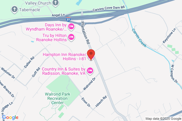 Hampton Inn Roanoke/Hollins - I-81