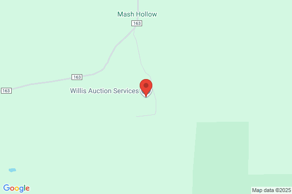 Willis & Co Auctions Inc
