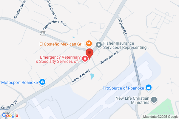 Air Force Recruiting