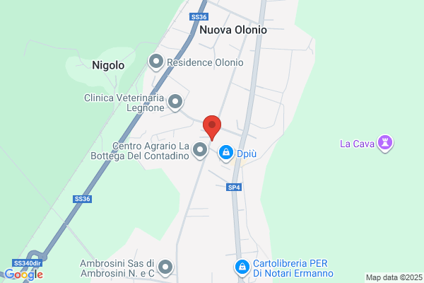 Gianoni Angelo Contractor
