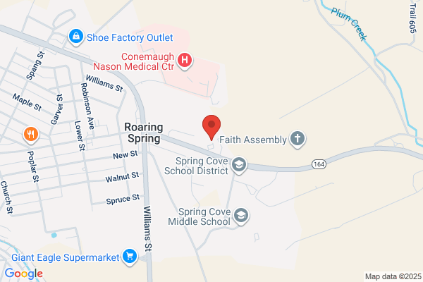 Companion Animal Hospital of Spring Cove
