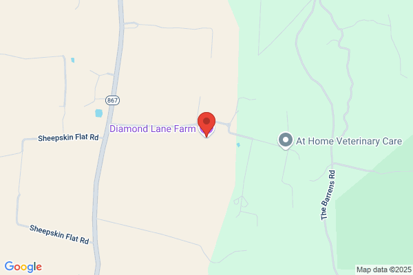 Diamond Lane Carriage Service