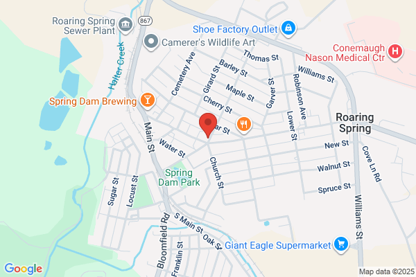 Roaring Spring Boro, Police