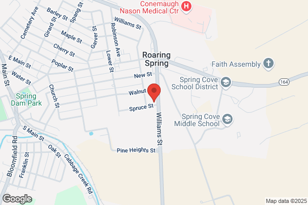 Spring Mill Federal Credit Union, Appleton Papers Inc