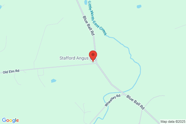 Stafford Cattle Company