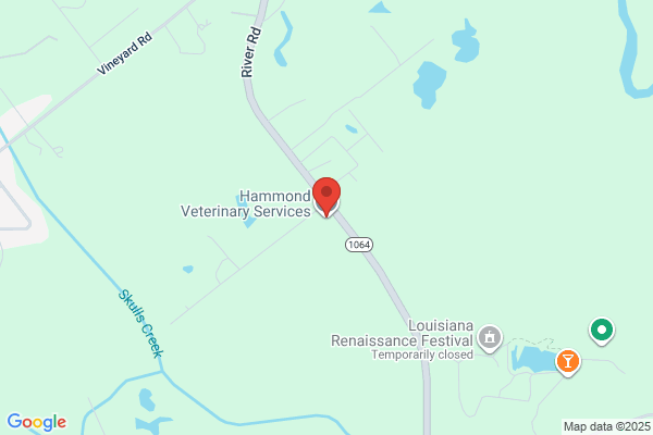 Hammond Veterinary