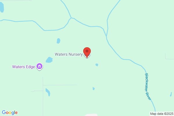 Waters Nursery Llc