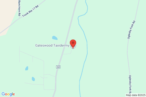 Gateswood Taxidermy
