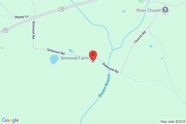 Seldom Seen Plantation Shooting Preserve