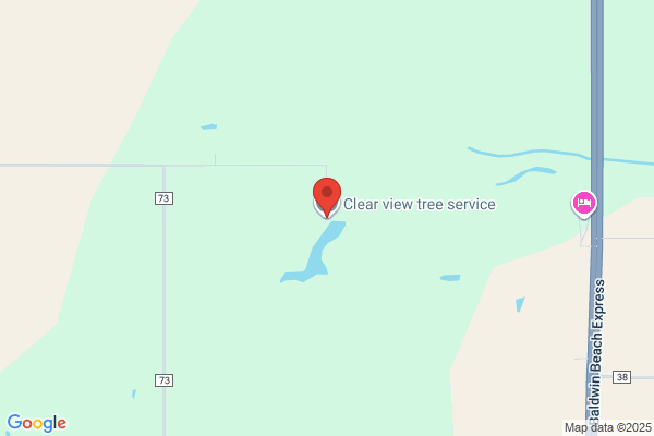 Clear view tree service