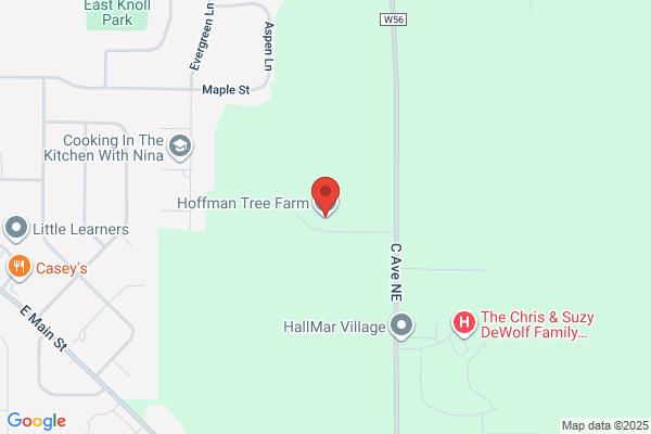 Hoffman Tree Farm