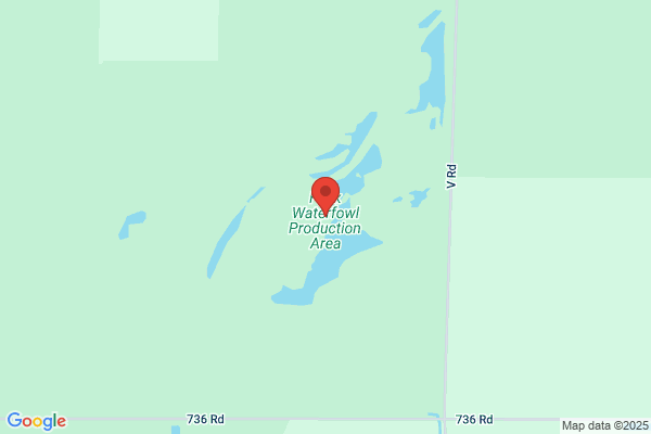 Paden's Wildlife Studio