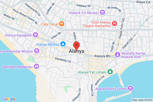 Alania Inc