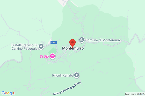 Montemurro Inc