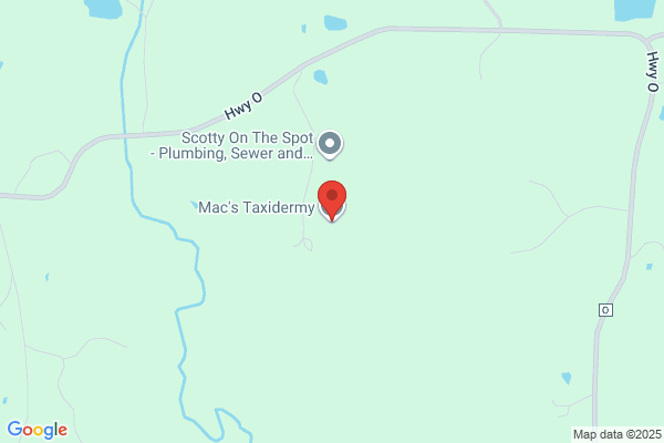 Mac's Taxidermy