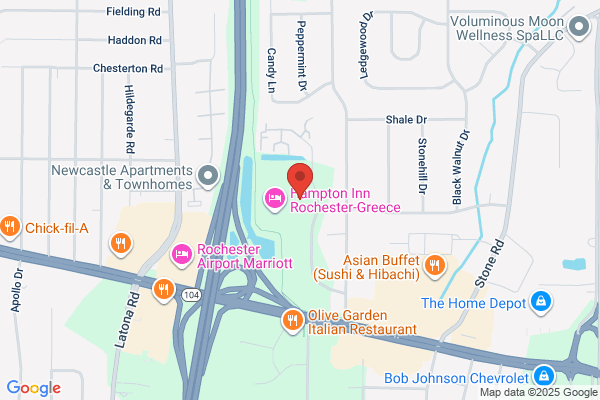 Dermatology for Animals - Rochester