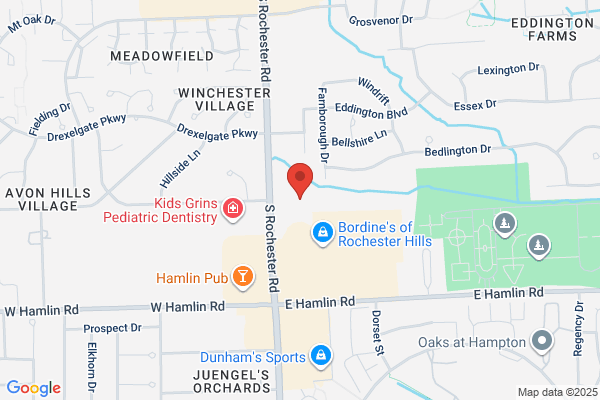 Anthology of Rochester Hills