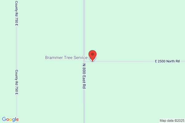 Brammer Tree Service and Stump Removal