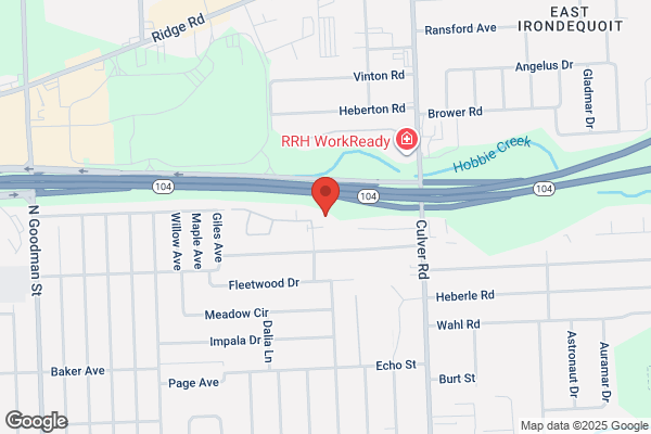 Rochester Orthopedics