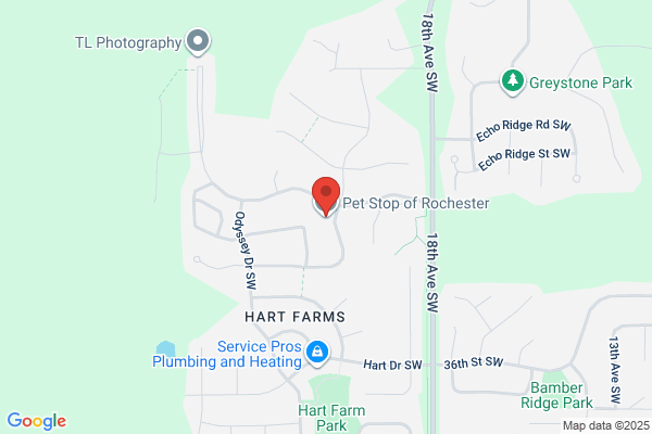 Pet Stop of Rochester