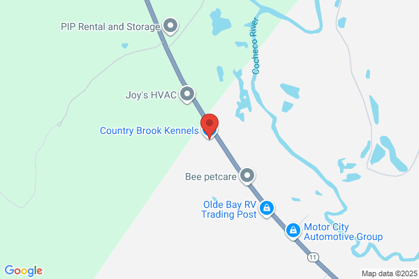 Country Brook Kennels