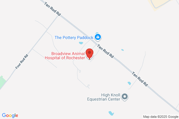 Broadview Reproductive Services