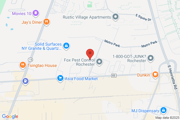 ADMAR | Rochester
