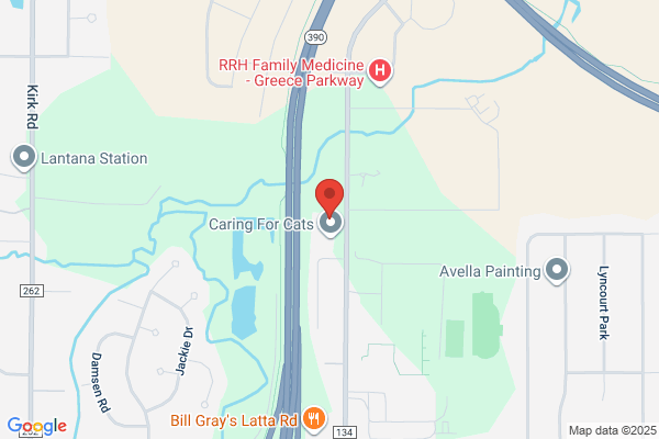 Parkway Pediatrics & Adolescent Medicine