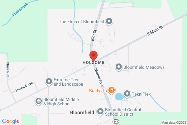 Holcomb's Knowplace