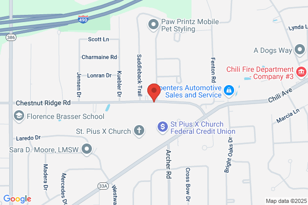 St Pius X Church, Pastoral Assistant