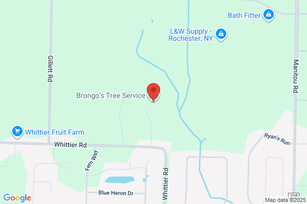 Brongo's Tree Service, LLC
