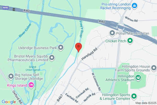 Westside Tree Surgeons