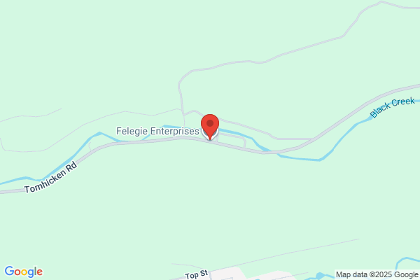 Felegie Enterprises