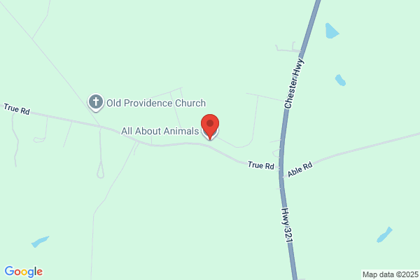 All About Animals NC - Squirrel Removal & Wildlife Removal