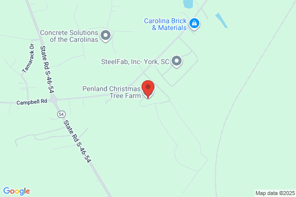Penland Christmas Tree Farm