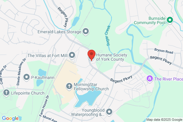 Animal Adoption League of York County