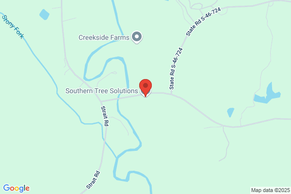 Southern Tree Solutions